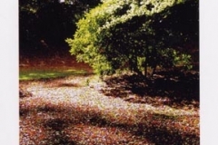 2004.11 Le Cafe Abstrait a